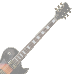 categoria de inlays adhesivos para guitarras y bajos.